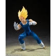 S.H.Figuarts Dragon Ball Action Figures Raditz & Son Gohan Kid (Exclusive Edition)Tamashii